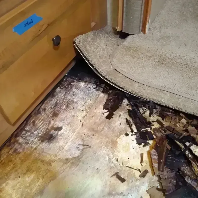 Wood Floor Water Damage in Phillips County, CO